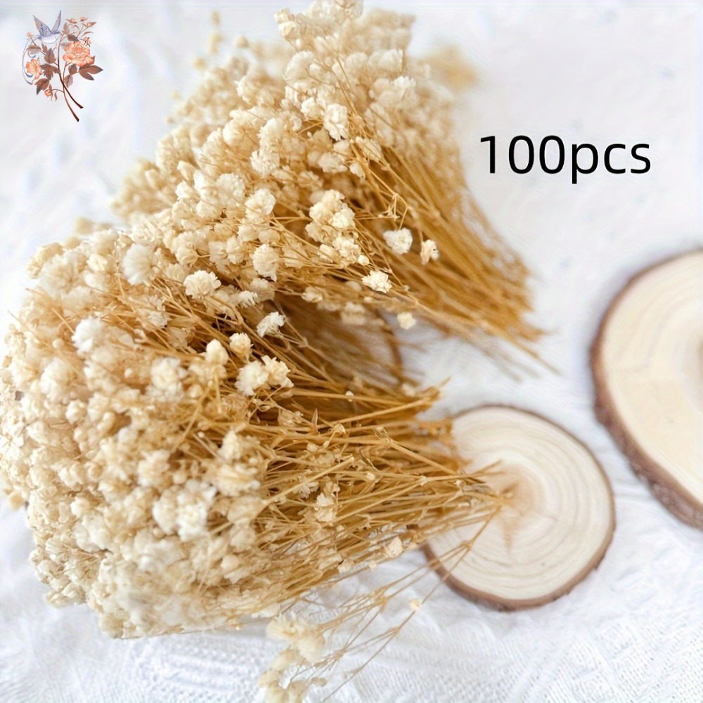 100 قطعة من زهور الجيبسوفيلا ا - مراجعة Craft Embellishment وسعره